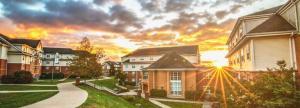 Real Estate IT Consulting