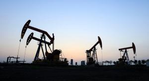 Petroleum IT consulting