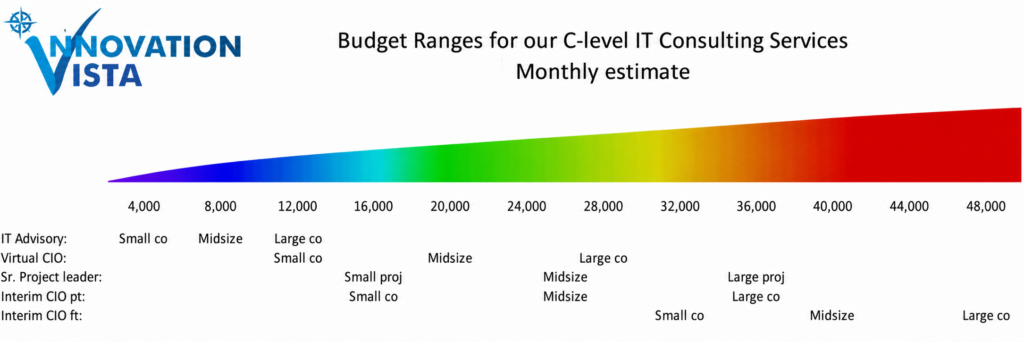 Interim CIO costs spectrum