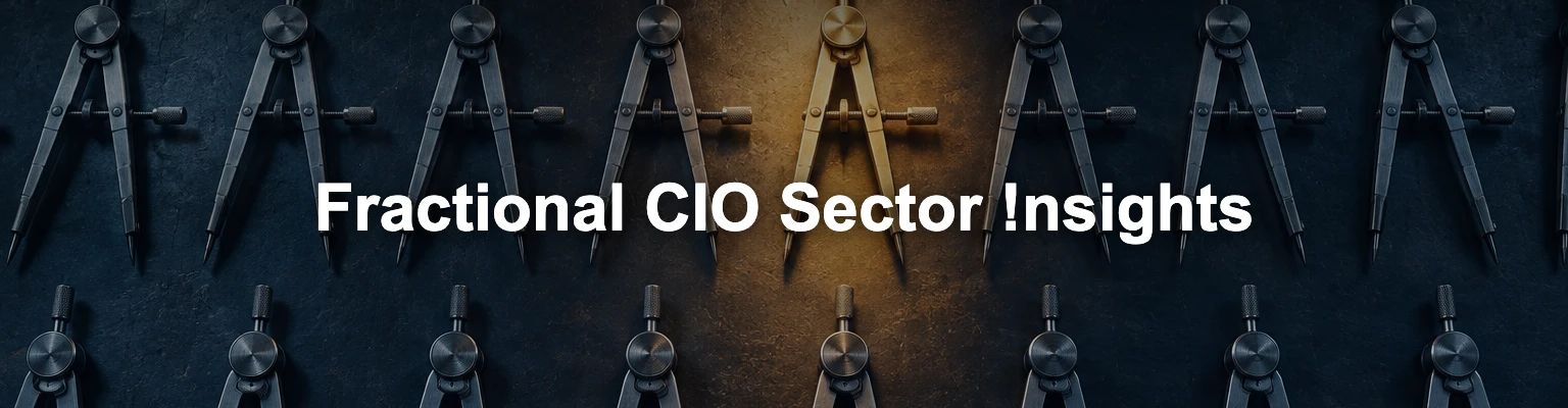 Fractional CIO Sector Insights