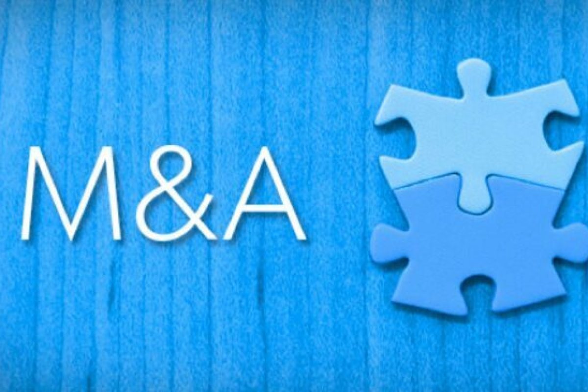 M&A IT consulting